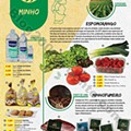 Antevisão Folheto JUMBO Especial Produtores de 8 a 31 agosto d2.jpg